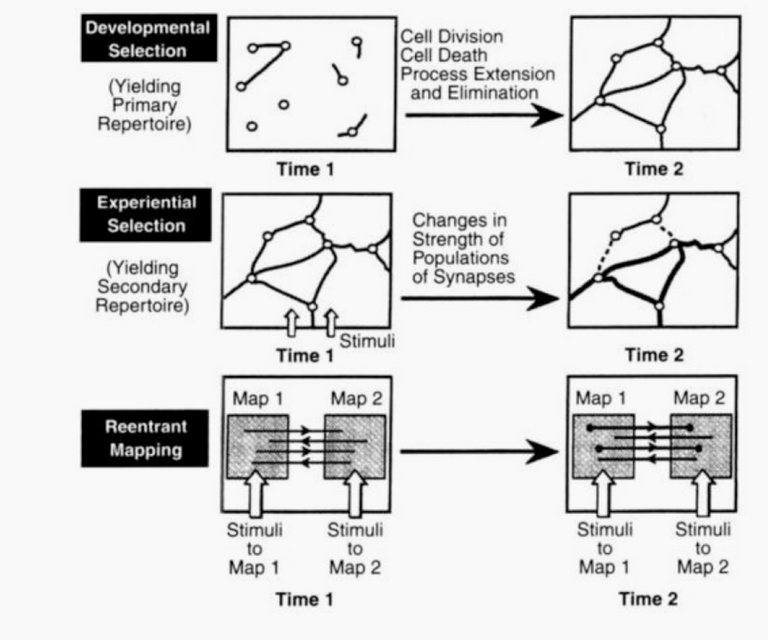 Reentrant mapping