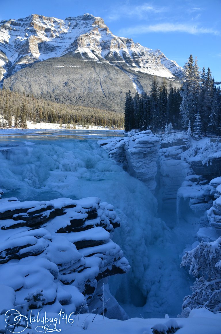 athabasca falls15.jpg