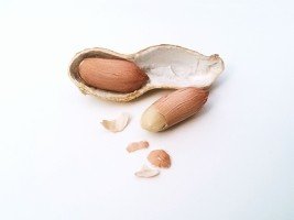 peanut-nut-nuts-peanut-shell-shell-nutshell.jpg