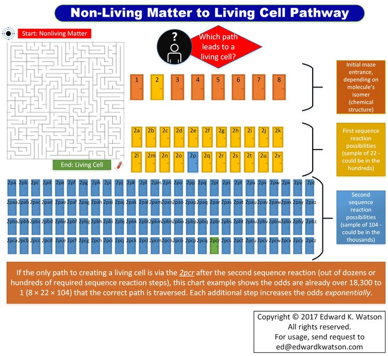 NONLIVING-LIVING-MAZE.jpg