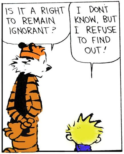 calvin.jpg