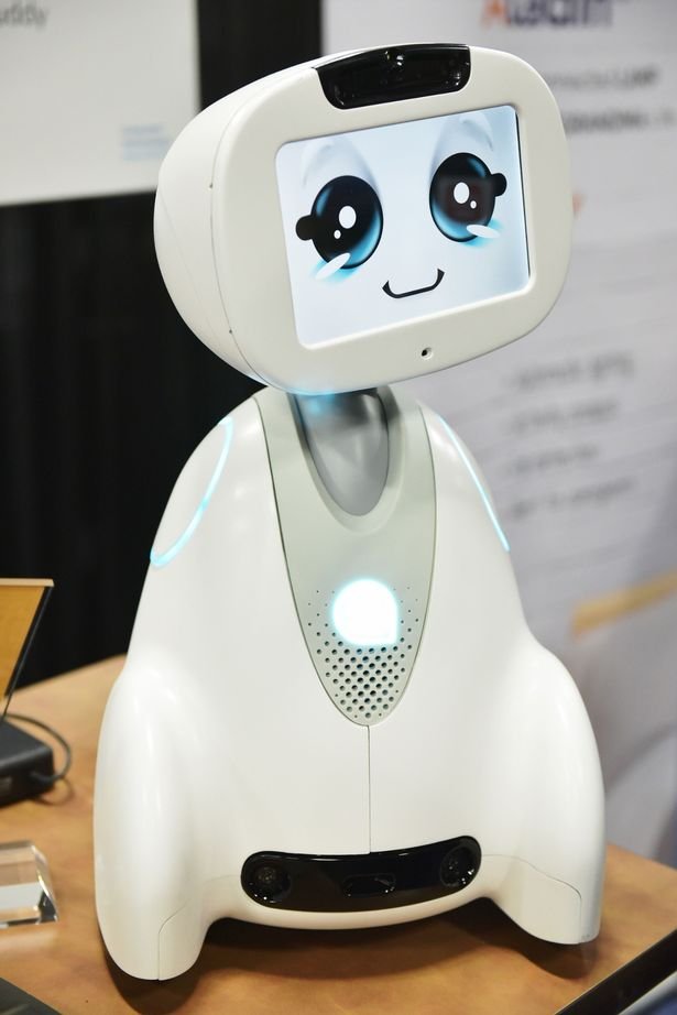 Buddy-the-companion-robot (1).jpg