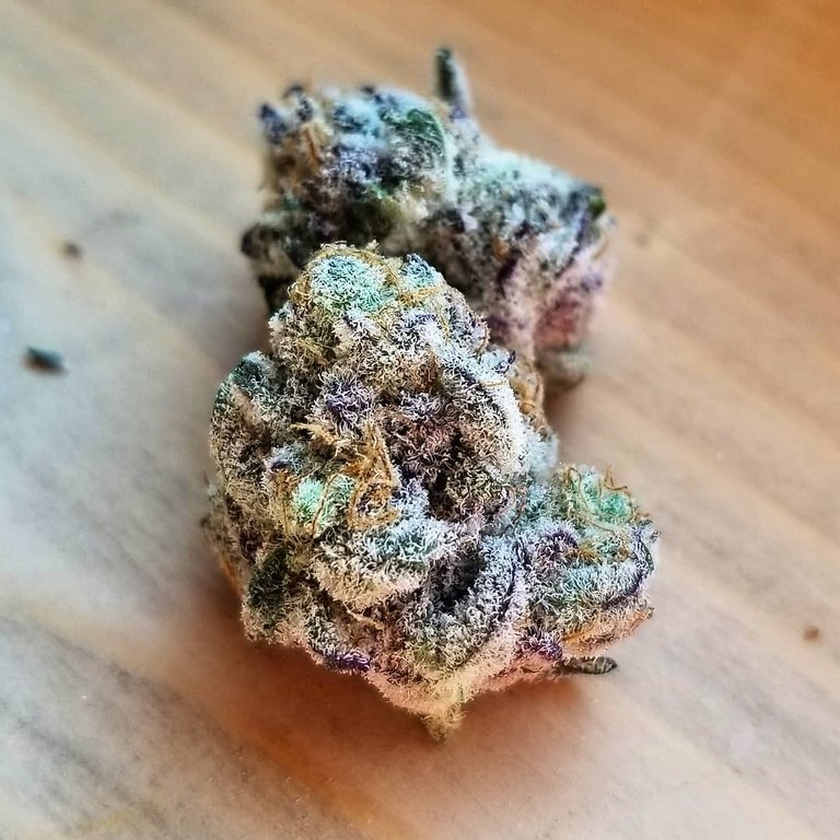 Purple Punch.jpg