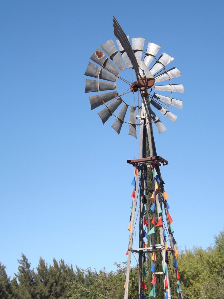 perfectly windless day for this wind pump.jpg