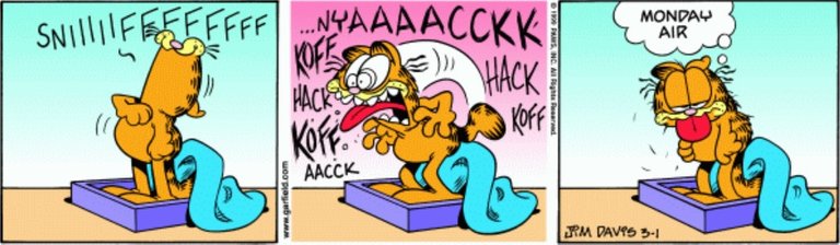 garfield monday.jpg