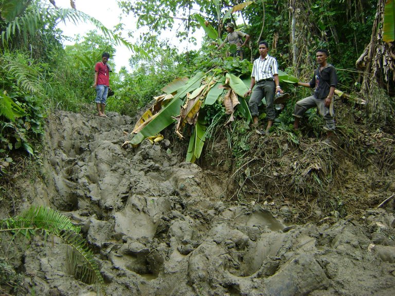 jejak kaki gajah2.jpg