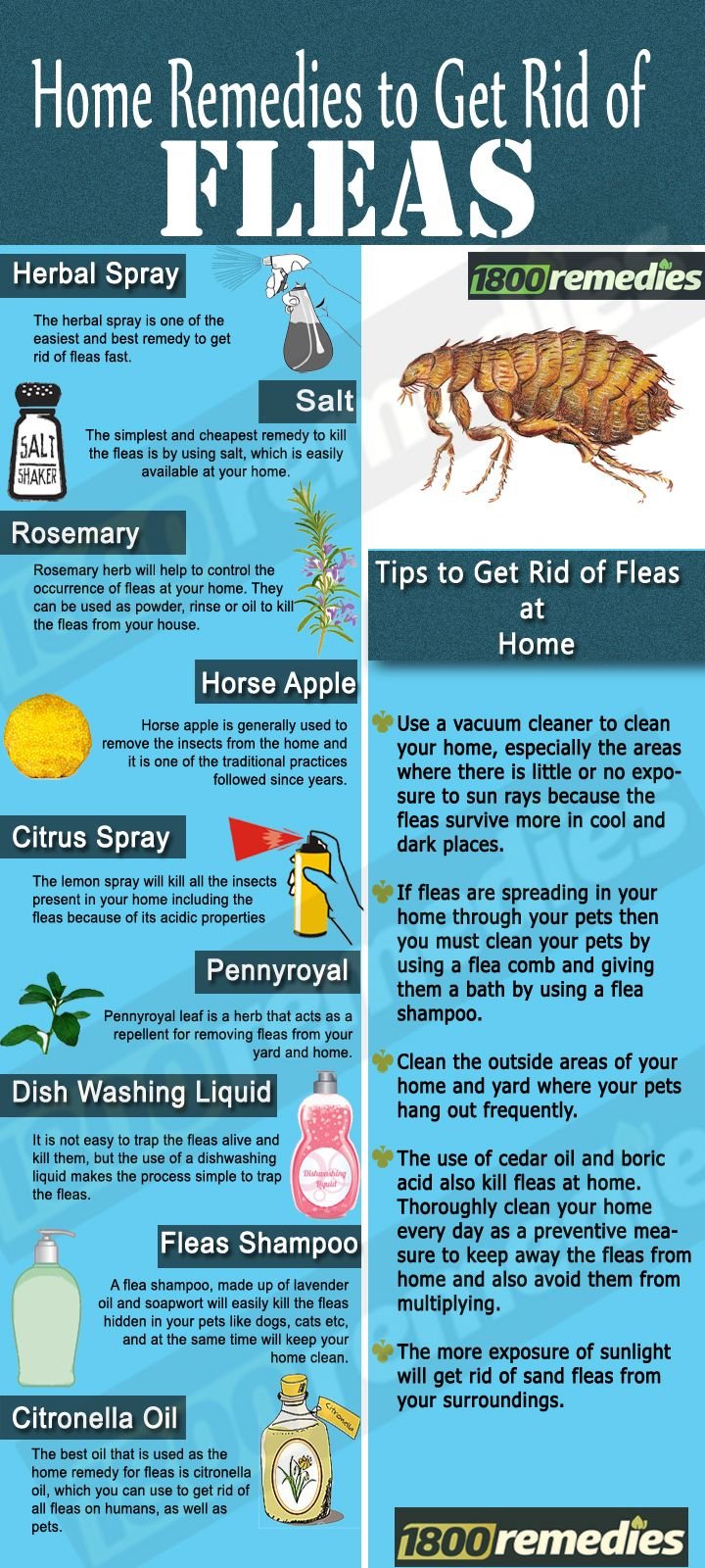 62856dd5fc0f997e0e19a4886945e730--natural-ways-to-get-rid-of-fleas-home-remedies-for-fleas-in-house.jpg