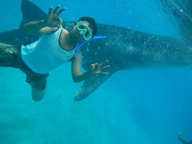 whalesharksselfieoslob.jpg