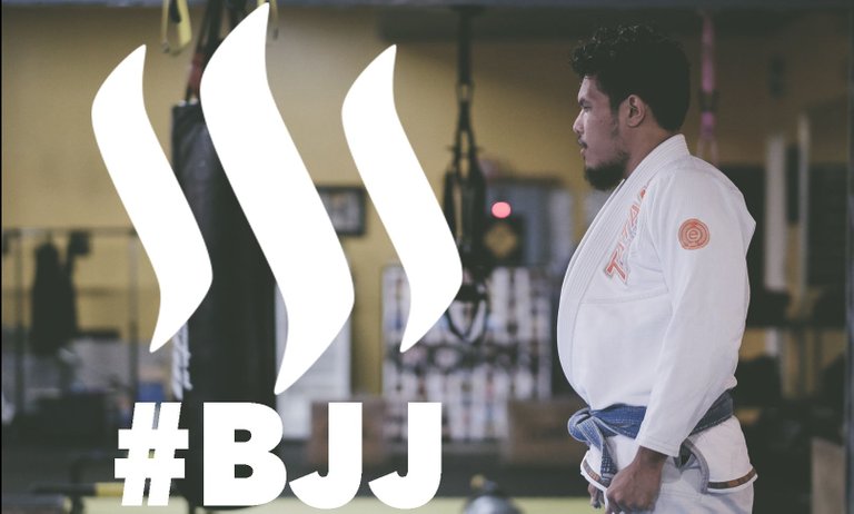 bjj3.jpg