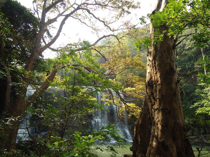 jungle_waterfall.jpg