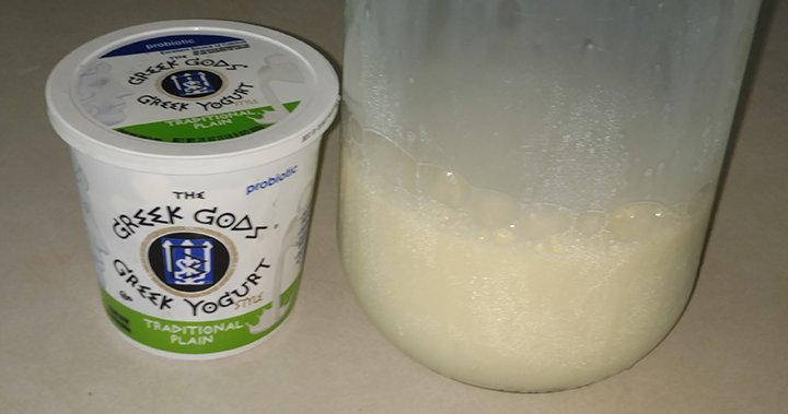 yogurt1.jpg