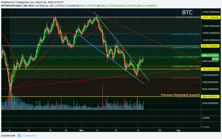 Bitcoin - Bull Run or Bear Trap.png