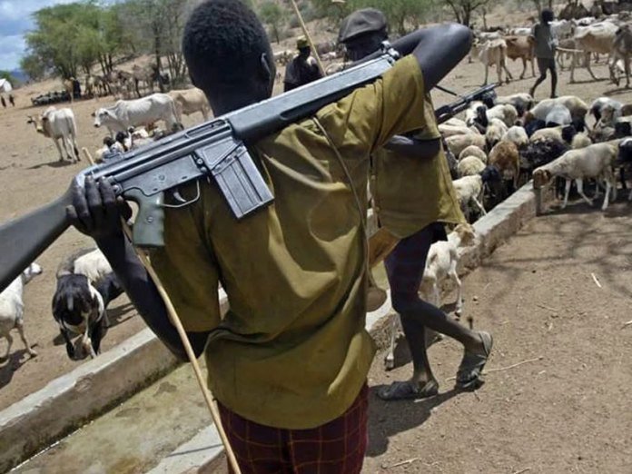 030316-Herdsmen don silas.jpg