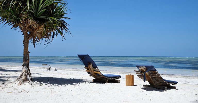 indigo-beach-zanzibar-resort-3.jpg