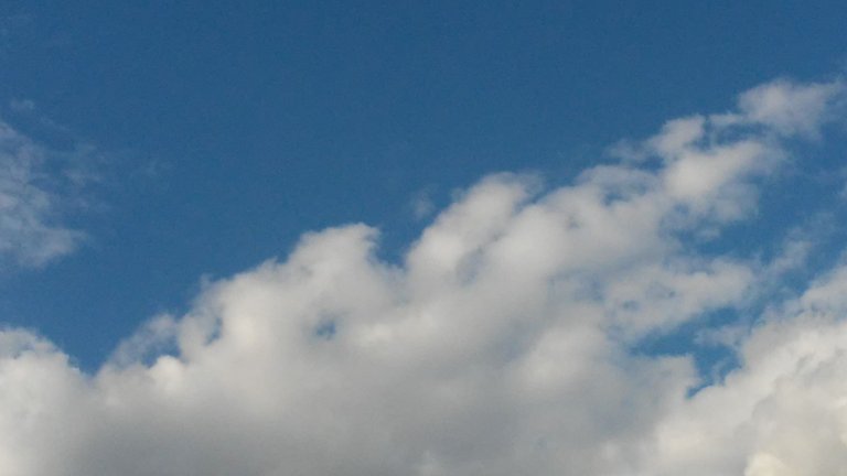 20170906_182615.jpg