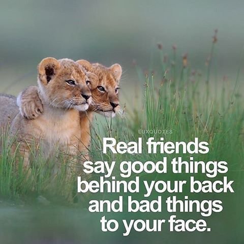 321971-Real-Friends-Say-Good-Things-Behind-Your-Back-And-Bad-Things-To-Your-Face.jpg