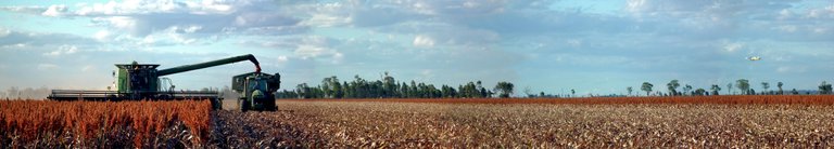 Panorama Harvest.jpg