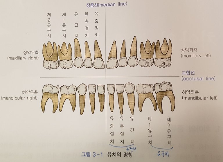 20180214_181651.jpg