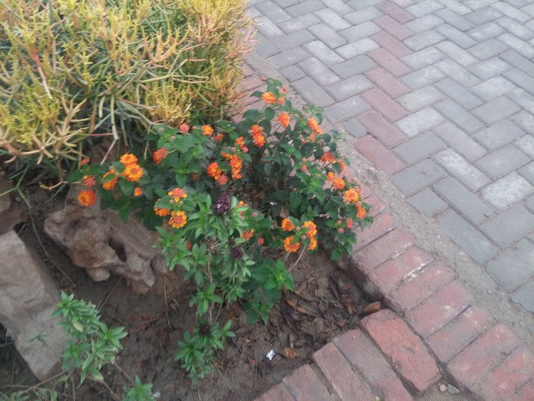 20180303_071859.jpg