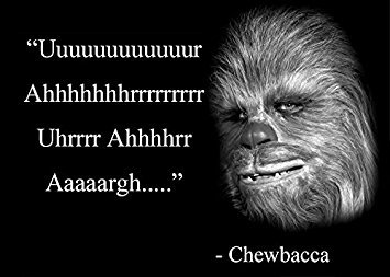 17_07_15_Chewy.jpg