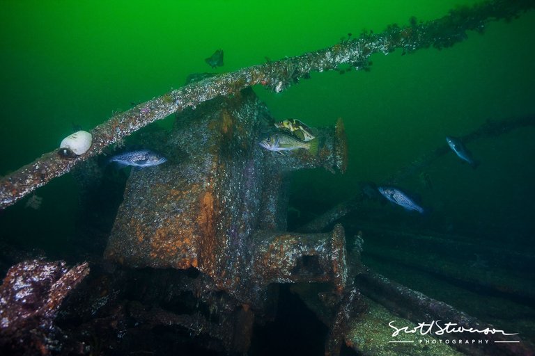 Deep Cove Barge-5.jpg