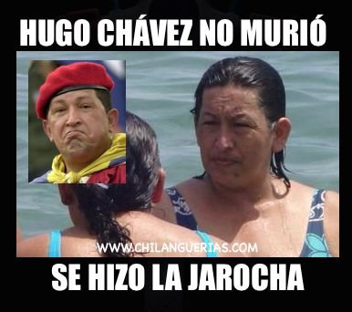 21e30f2a96121900880317d4c5090045--hugo-chávez-la-red.jpg