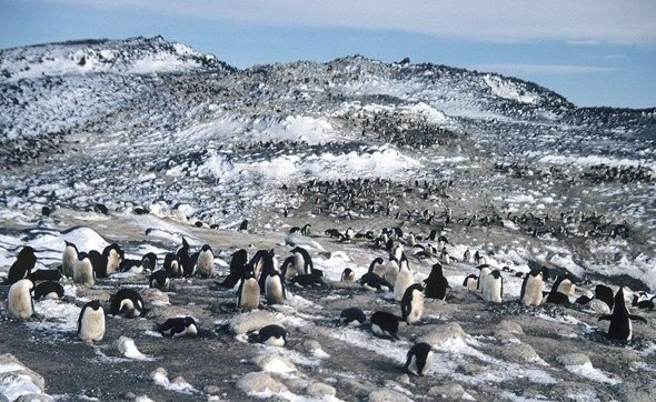 McMurdo-Station-Antarctica.jpg