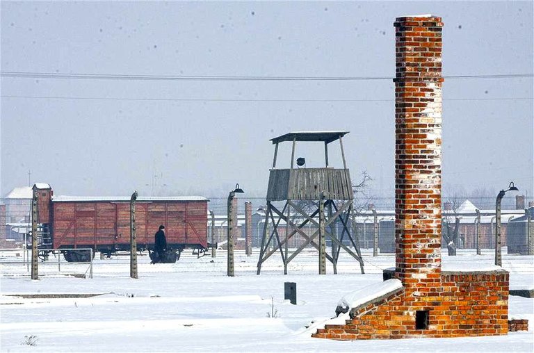 auschwitz-birkenau_7d8e7f80.jpg