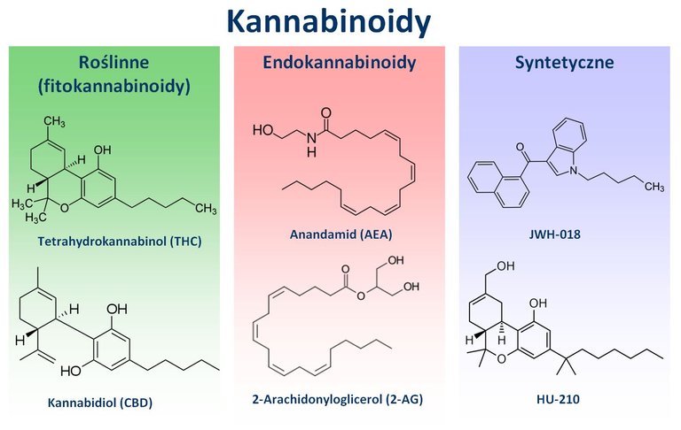 Kannabinoidy.jpg