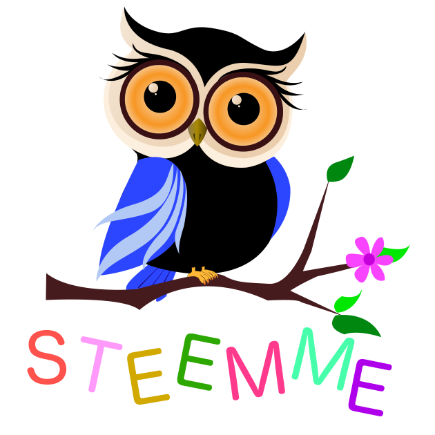 Steemme owl no moon.png