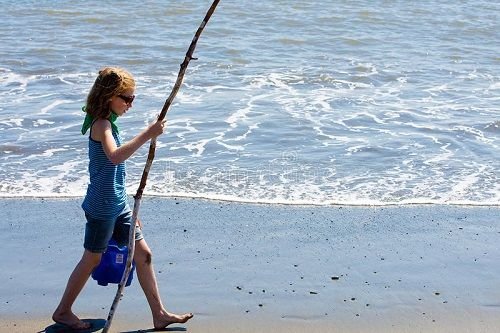 child-walking-beach-stick-20594013.jpg