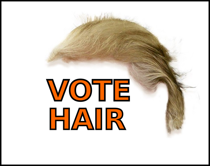 votehair.png