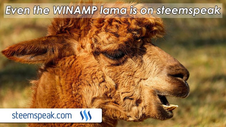 steemit ads - lama steemspeak.jpg