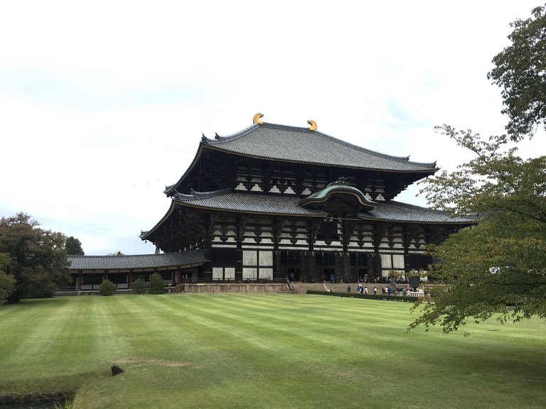 todai-ji-1.jpg