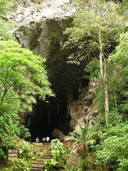 450px-Cueva_del_Guacharo 2.jpg