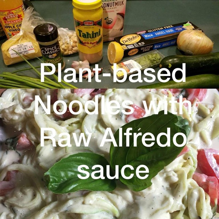 plant base alfredo sauce.jpg