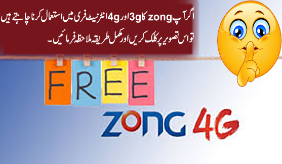 Free-Zong-Inter-net.png