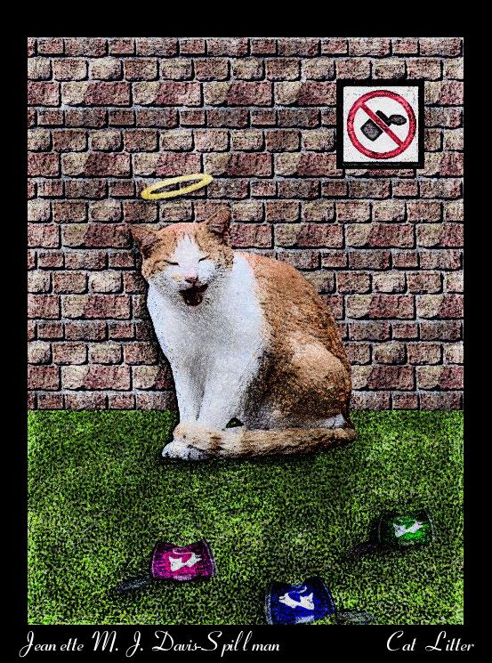 Cat Litter.jpg