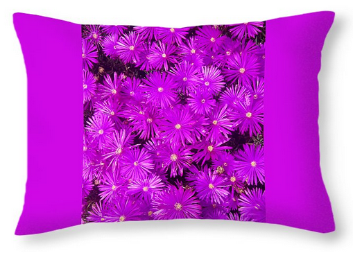 Purple Flowers Pillow Long horiz.PNG