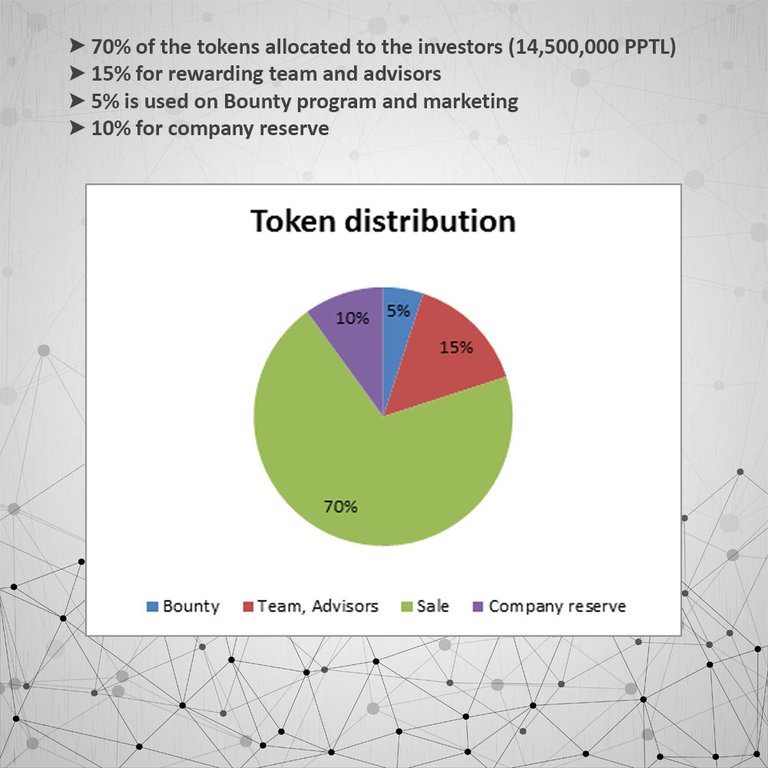 payportal token breakdown.jpg