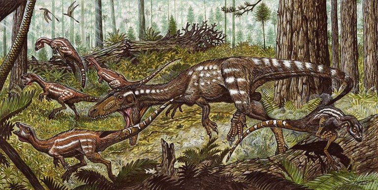 Tachiraptor admirabilis 02.jpg