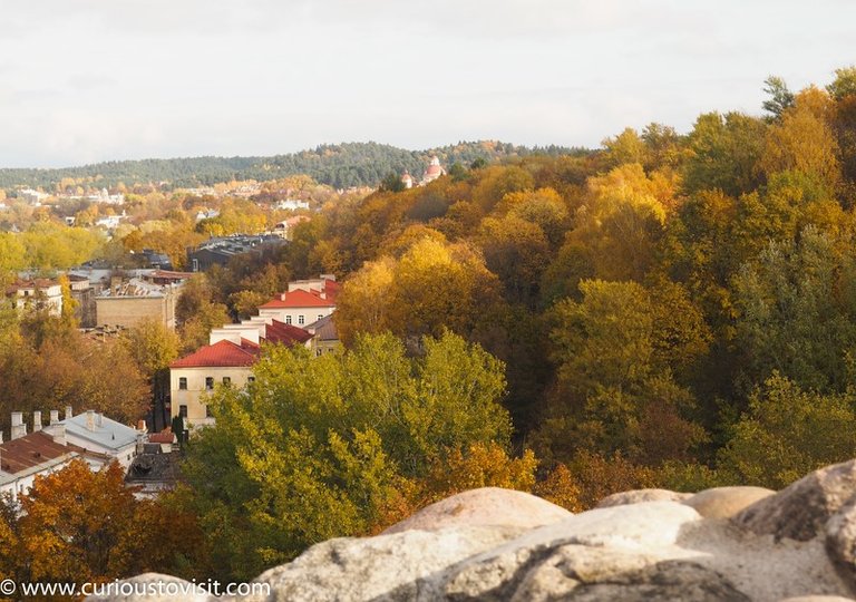 1511_Lithuania_Vilnius_Kvedarna_kapines-1010174 (Copy).jpg