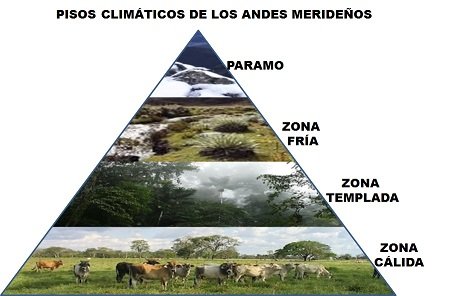 pisos climaticos 1.jpg