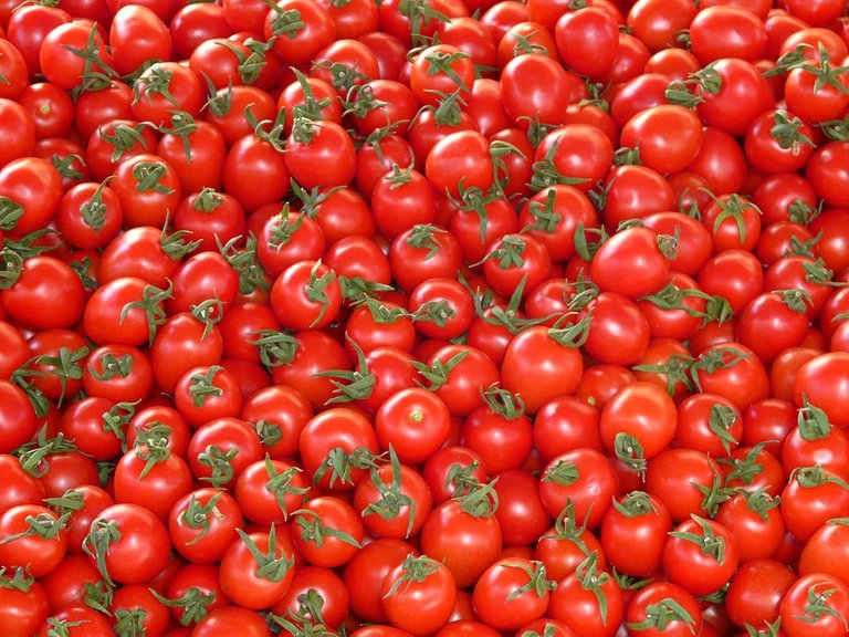 tomatoes-73913_960_720.jpg