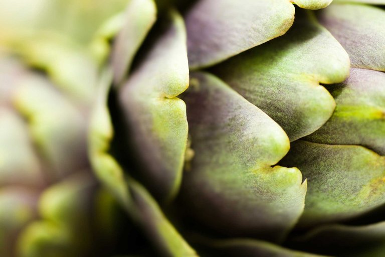 06-foods-prevent-cancer-artichoke.jpg