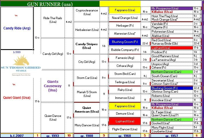 gun runner.gap nuevo.JPG