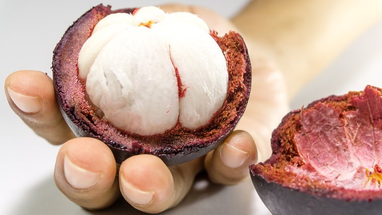 mangosteen-2477600_960_720.jpg