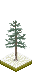 pine3_grass_m02.png