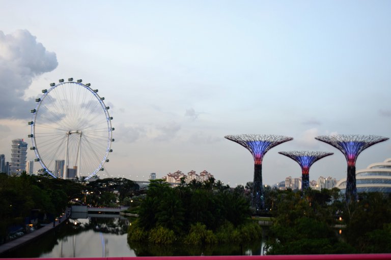 Singapura.JPG