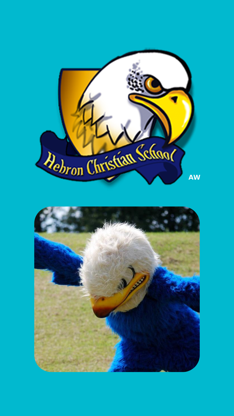 Hebron_Christian__Eagles.png